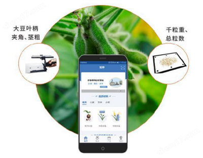 大豆表型檢測系統